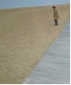 a Shell Tomoko on the Beach F20 ̃Rs[.jpg