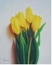 yellow tulips F3.jpg